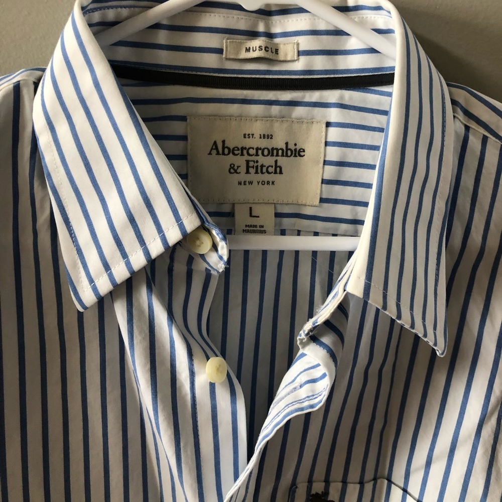 Abercrombie And Fitch Men’s Button Up Blue Stripe - image 3